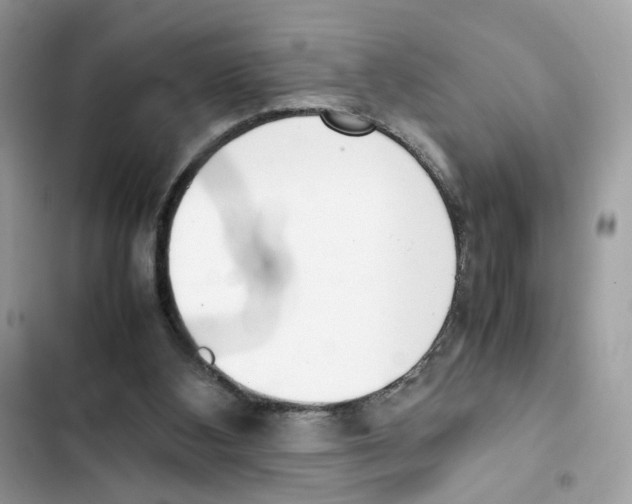 X0000101990108200808151433