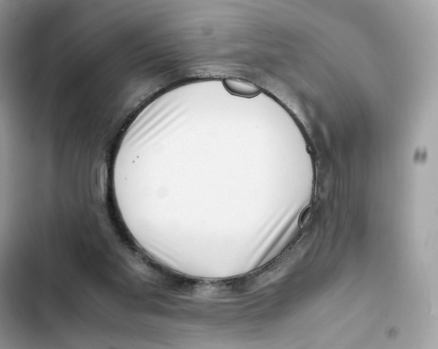 X0000101990109200808151433