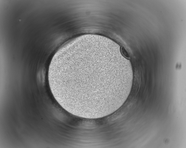 X0000101990110200808151433
