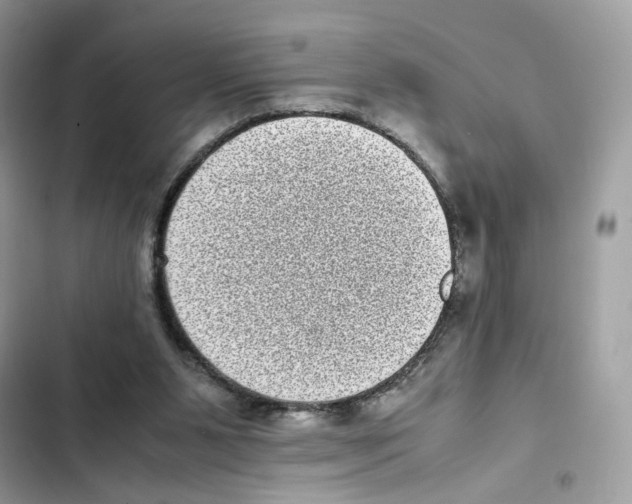 X0000101990111200808151433
