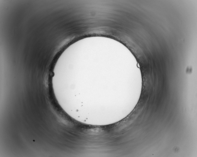 X0000101990112200808151433
