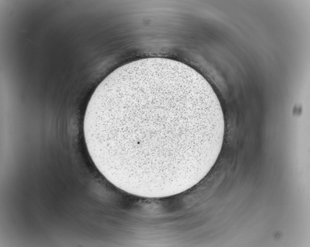 X0000101990113200808151433