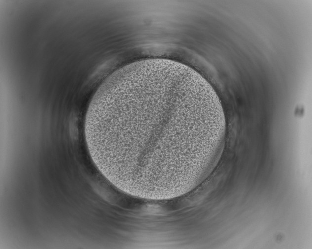 X0000101990114200808151433