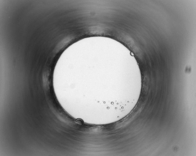 X0000101990116200808151433