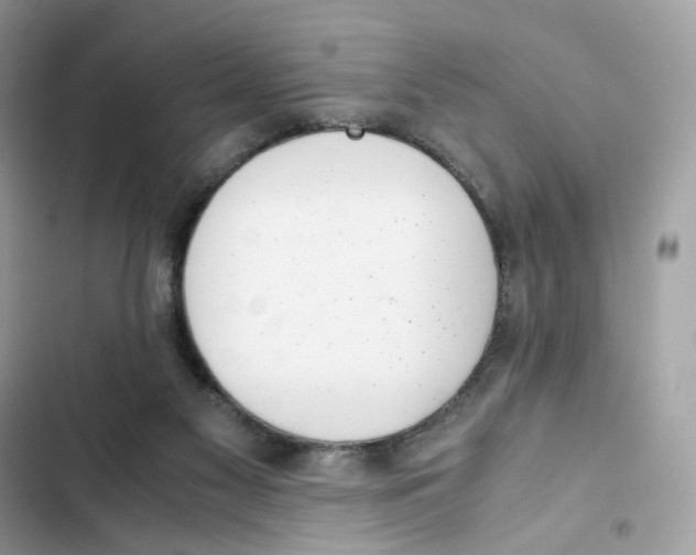 X0000101990117200808151433