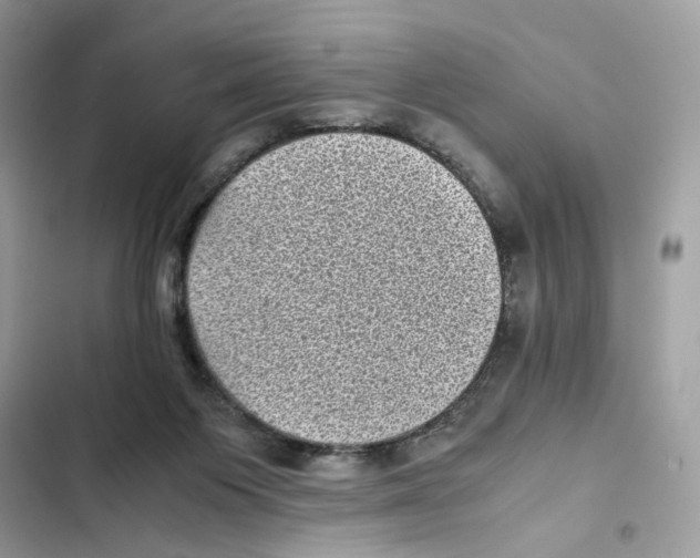 X0000101990119200808151433