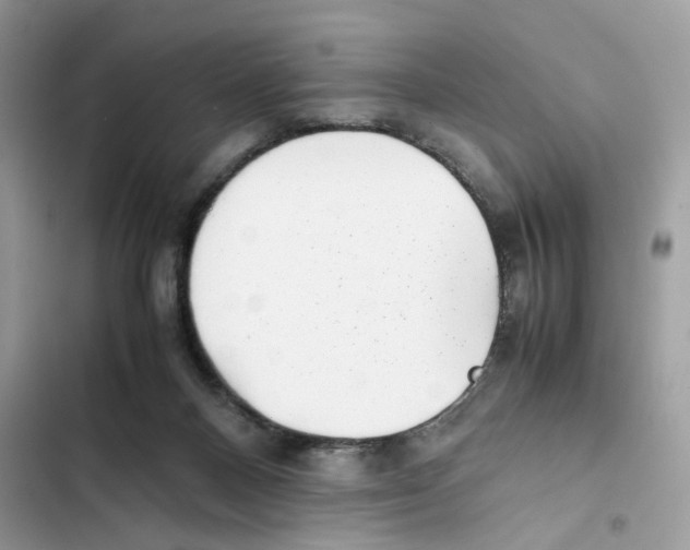 X0000101990120200808151433