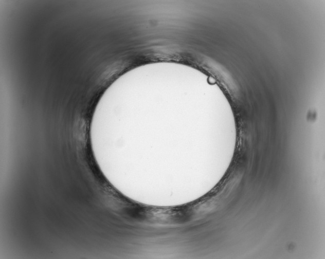 X0000101990121200808151433