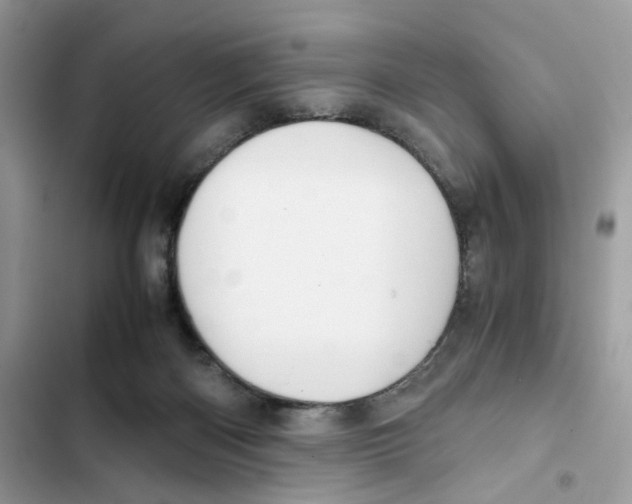 X0000101990122200808151433