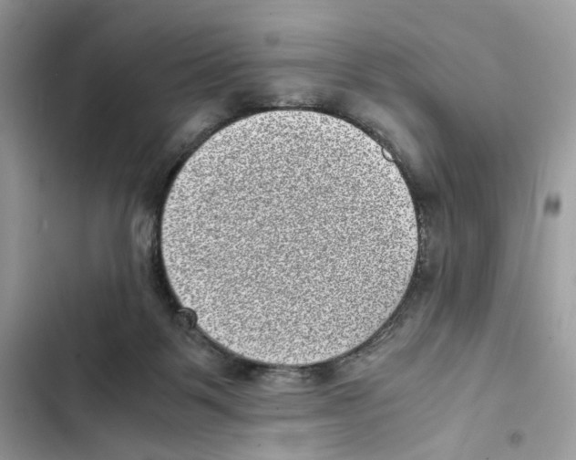 X0000101990123200808151433