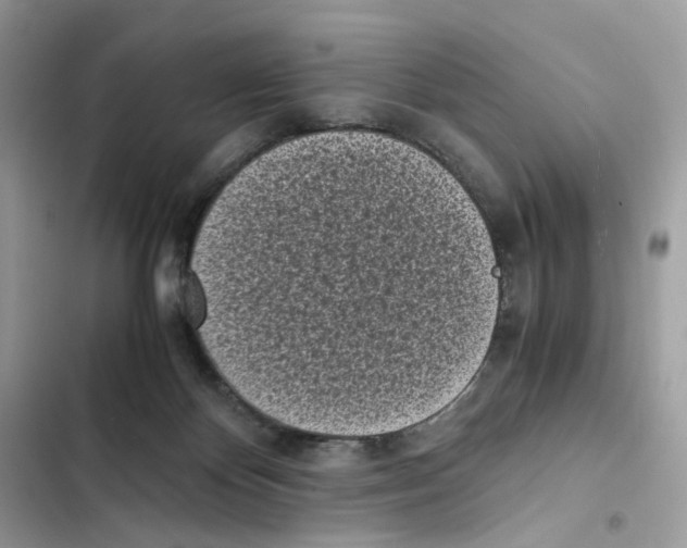 X0000101990124200808151433