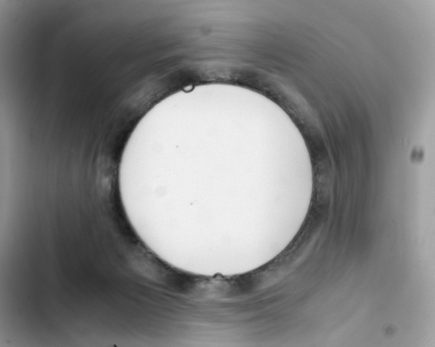 X0000101990125200808151433