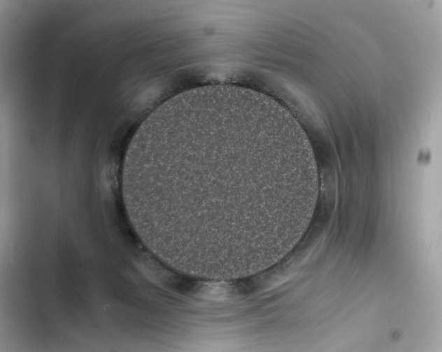 X0000101990127200808151433