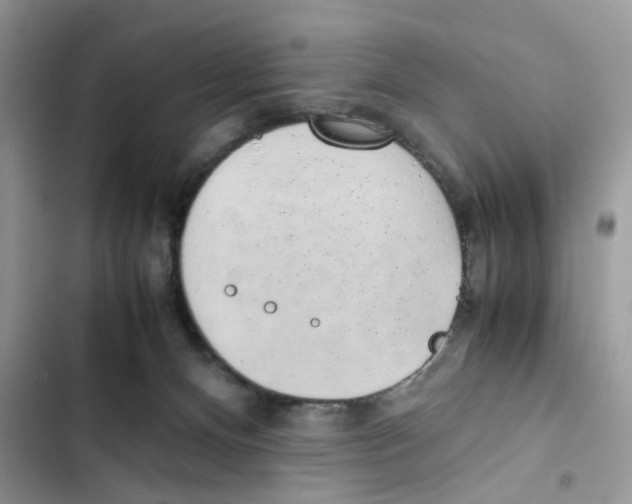 X0000101990128200808151433