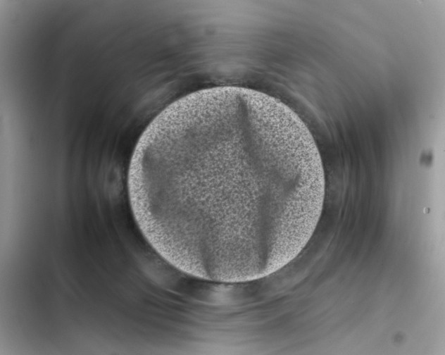 X0000101990130200808151433