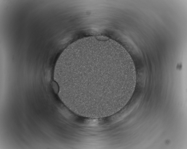 X0000101990131200808151433