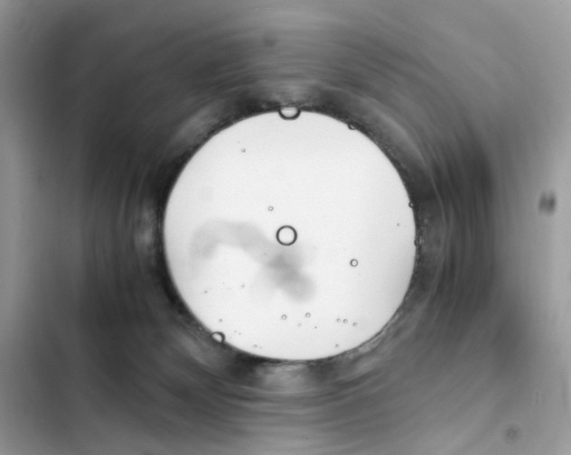 X0000101990132200808151433