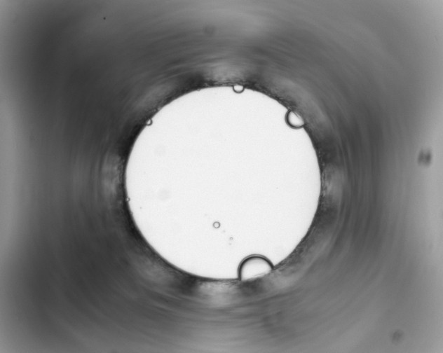 X0000101990133200808151433