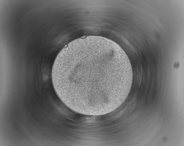 X0000101990134200808151433