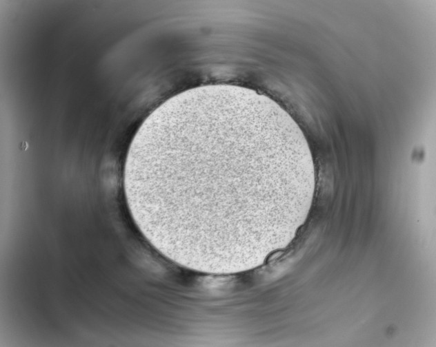 X0000101990135200808151432