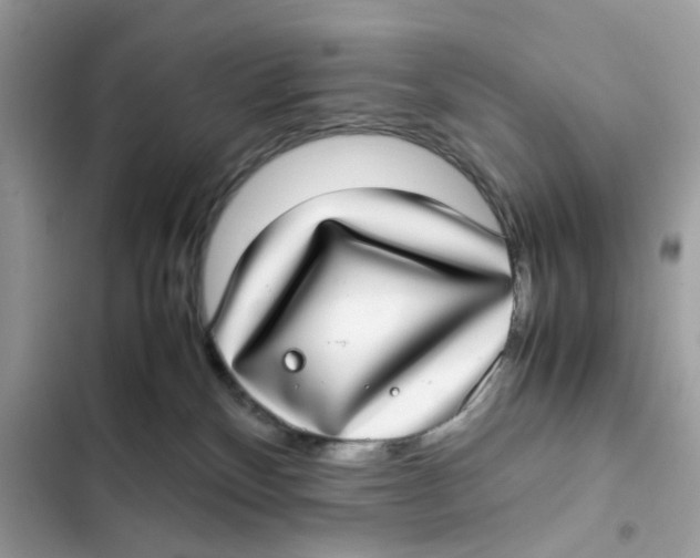 X0000101990136200808151432