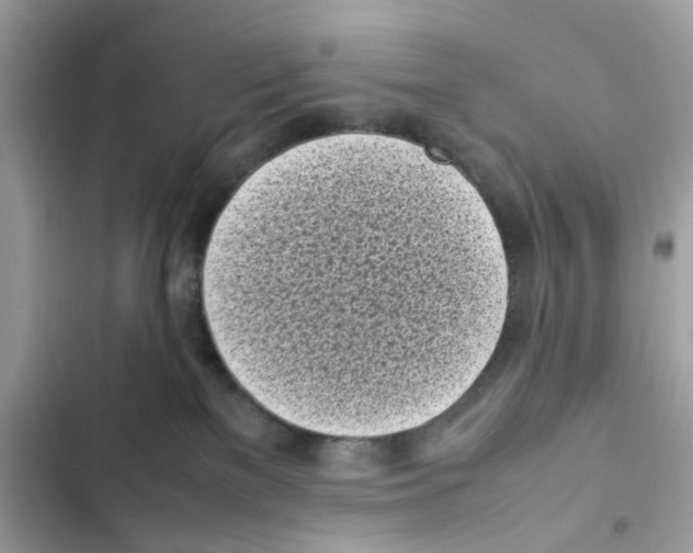 X0000101990137200808151432