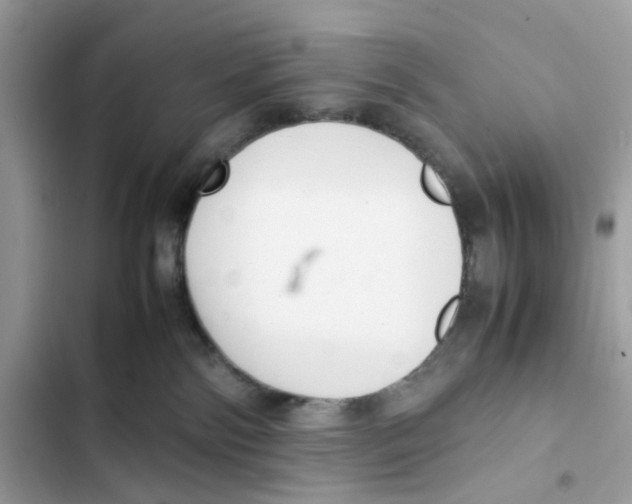 X0000101990138200808151432