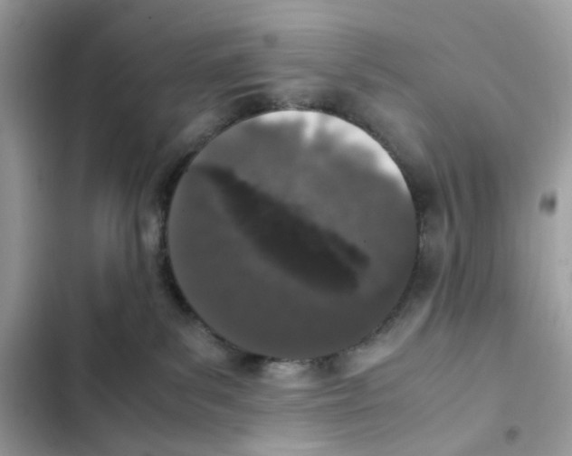 X0000101990139200808151432