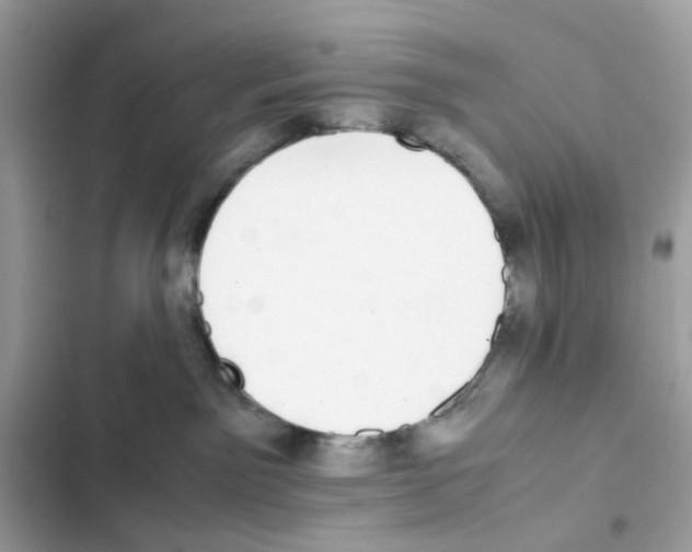 X0000101990141200808151432