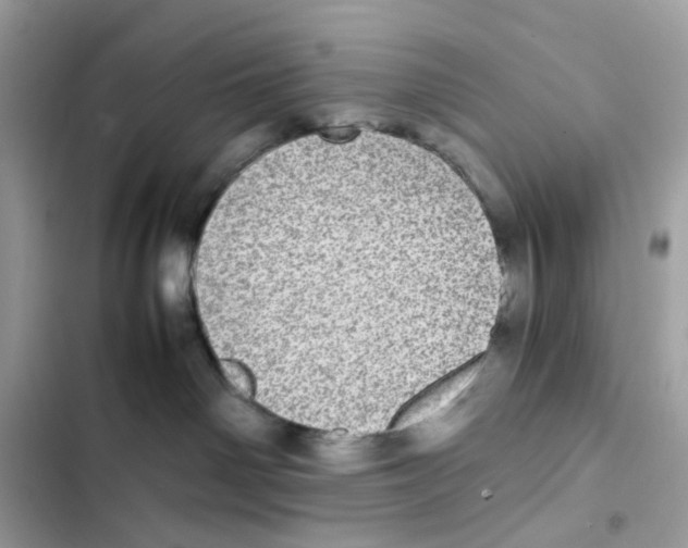 X0000101990142200808151432