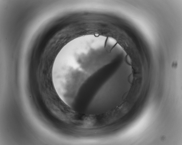 X0000101990143200808151432