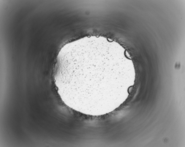 X0000101990144200808151432