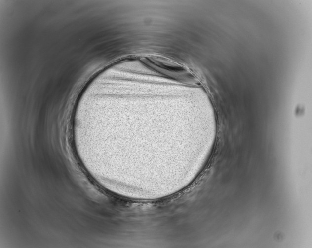 X0000101990145200808151432
