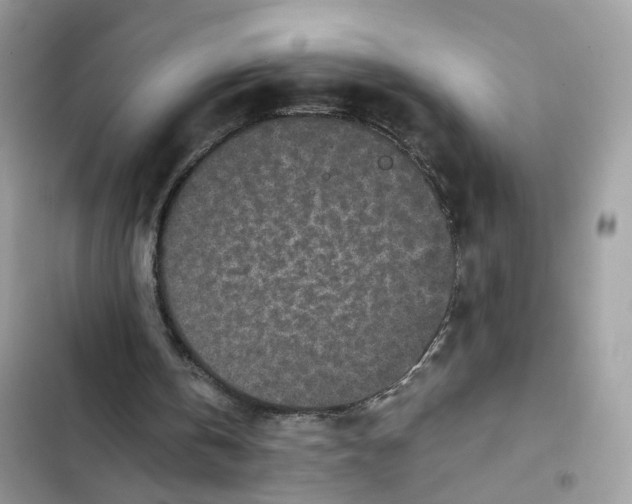 X0000101990146200808151432