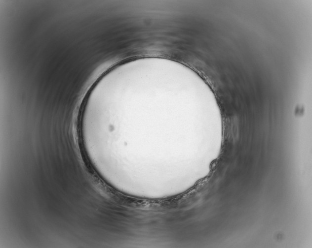 X0000101990147200808151432