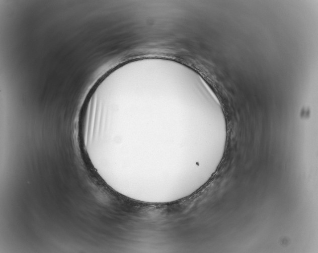 X0000101990148200808151432