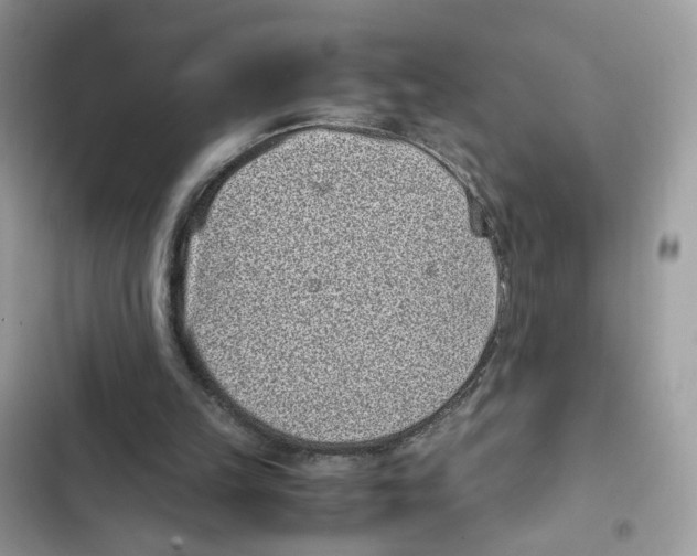X0000101990149200808151432
