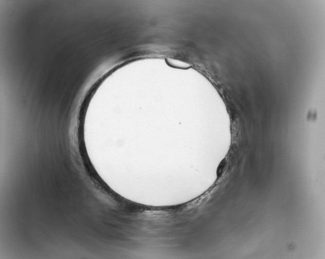X0000101990150200808151432