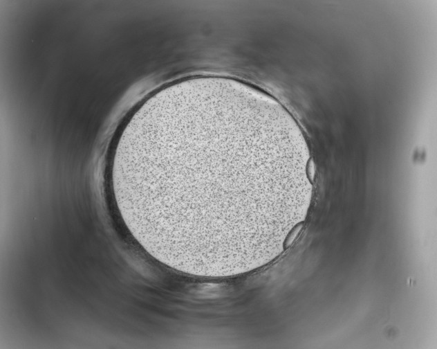 X0000101990151200808151432