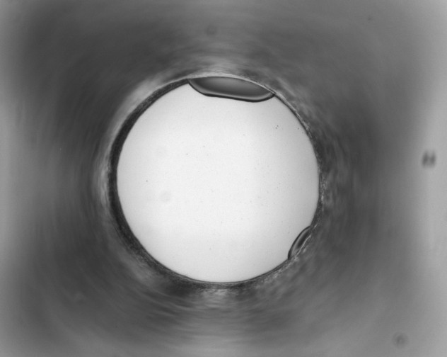 X0000101990152200808151432