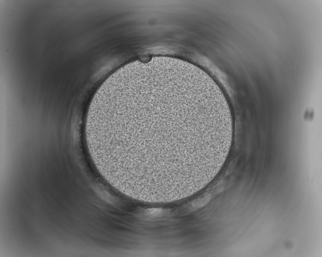 X0000101990153200808151432