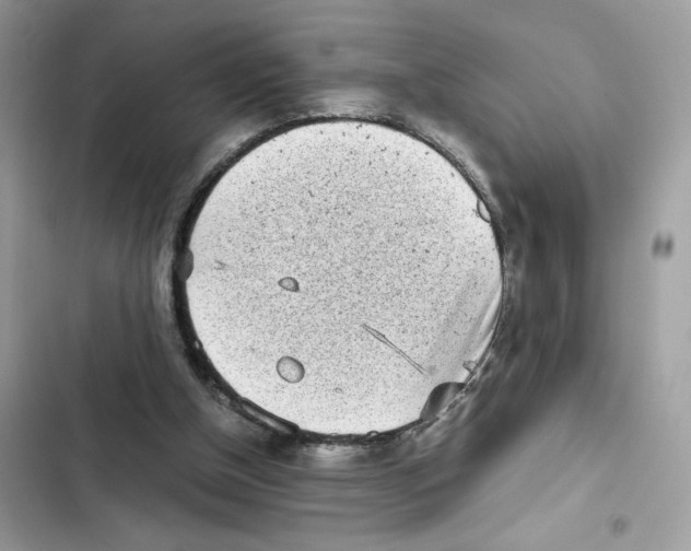 X0000101990154200808151432
