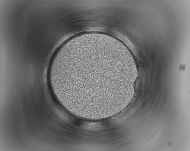 X0000101990155200808151432
