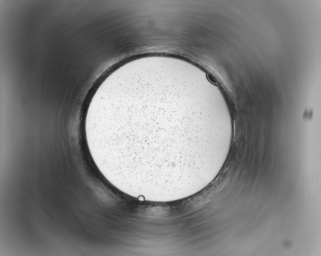 X0000101990156200808151432