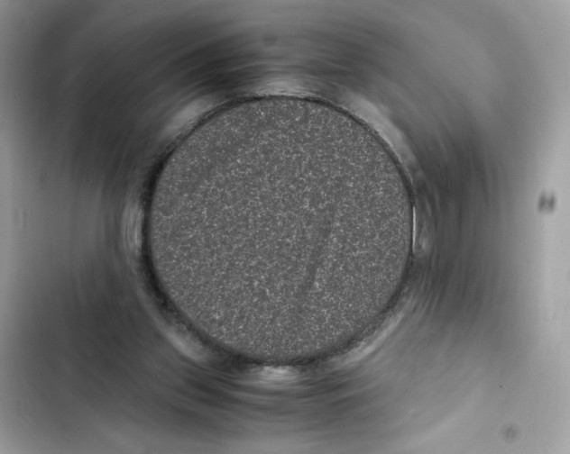 X0000101990157200808151432