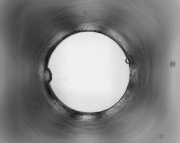 X0000101990158200808151432