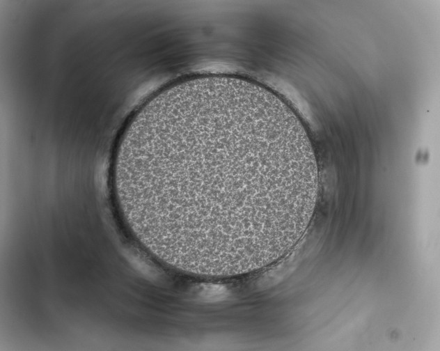 X0000101990159200808151432