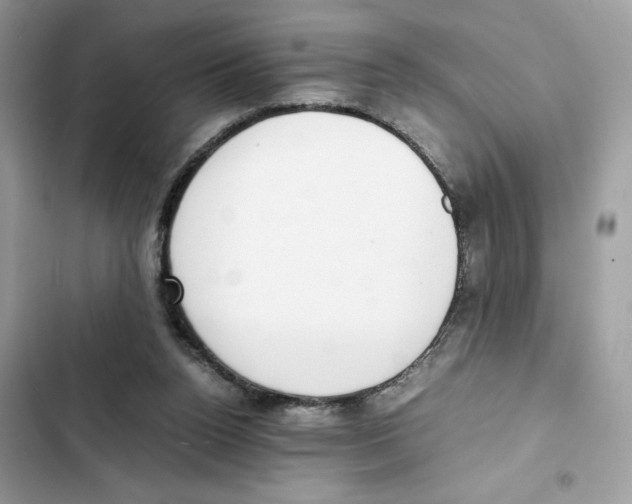 X0000101990160200808151432