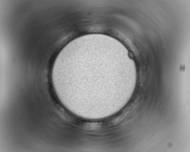 X0000101990161200808151432