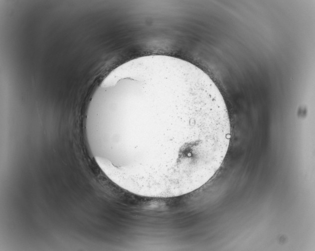 X0000101990162200808151432